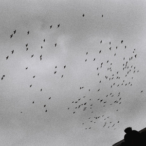 过来让我操个逼
