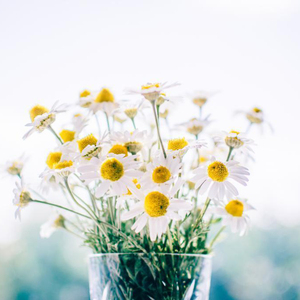 过来让我操个逼
